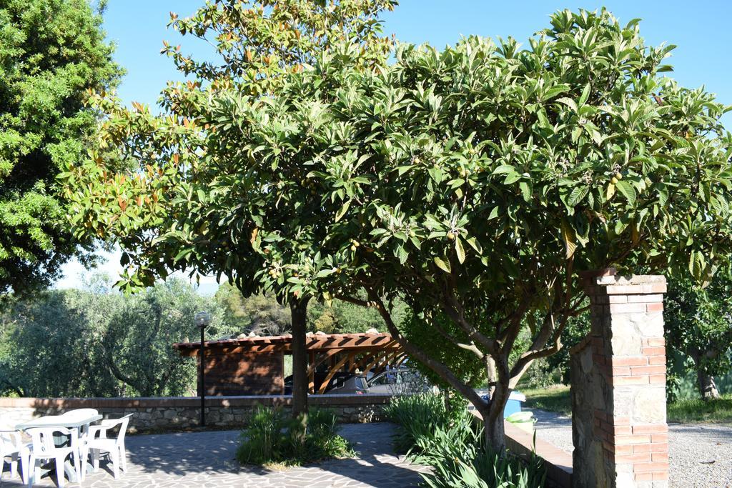 Agriturismo Amina, Winery & Hiking Vagliagli Bagian luar foto